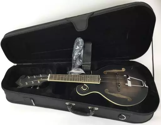 Gold Tone - GT-F6 Six String Mandolin 2