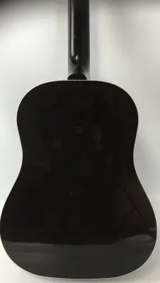 Gibson - Acoustic/Electric 12 string 2