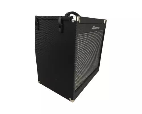 Ampeg 2x10 Cab 3