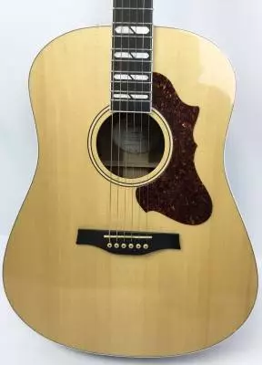 Godin Guitars -Acoustic Dreadnaught G47925 2