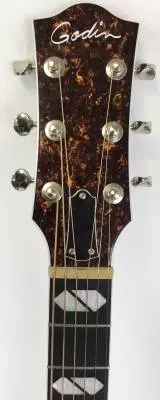 Godin Guitars -Acoustic Dreadnaught G47925 2