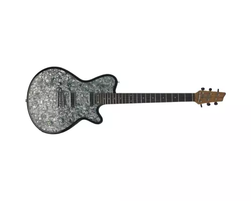 Godin Radiator E