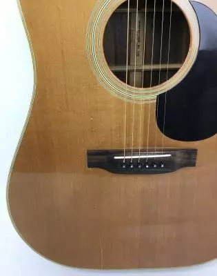 Yamaki AY337S Acoustic Dread 2