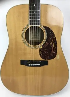 Martin Guitars - Acoustic Dread 2