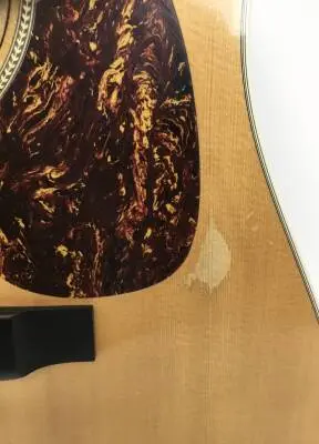 Martin Guitars - Acoustic Dread 2