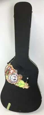 Martin Guitars - Acoustic Dread 2