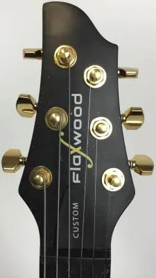Flaxwood - Rautia Fishman Fluence 2