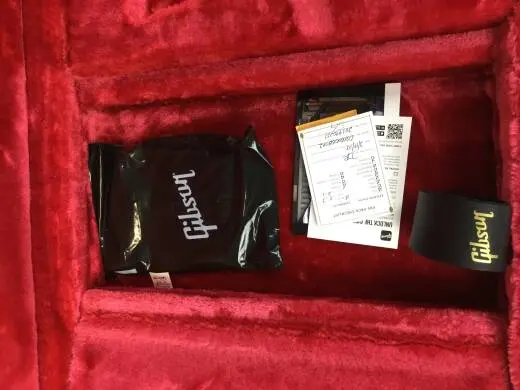 Gibson - Ebony Explorer 2