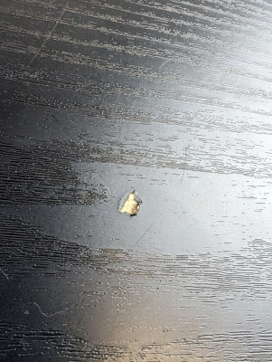 Dynaudio Monitor BM15A/LEFT 2