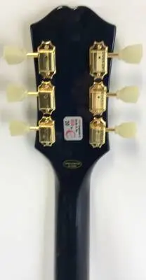 Epiphone - ESAMLBBGH 2