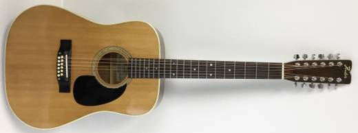 Gear Hunter | Fender 12 String Acoustic F-55-12