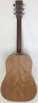 Norman B-20 Acoustic 2