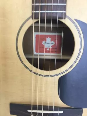 Norman B-20 Acoustic 3