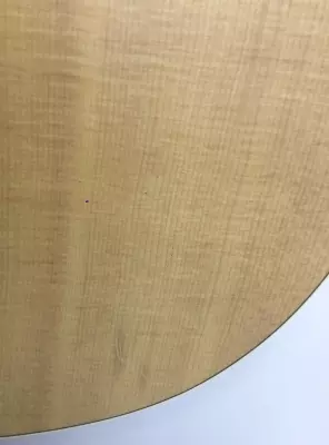 Norman B-20 Acoustic 4