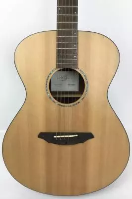 Breedlove AC200 SM Concert Acoustic 2