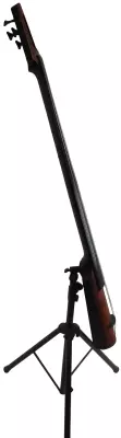 NS Designs - NXT4 electric upright bass 2