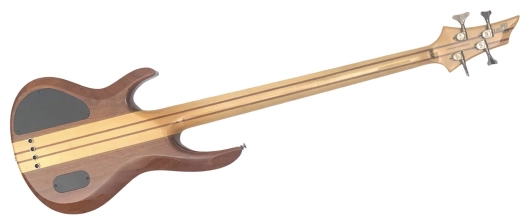 ESP LTD BASS 4 STG NATURAL SATIN 2