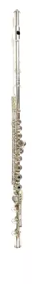 Store Special Product - AMADEUS FLUTE S/S HJ, O/H, OFFSET B/F FR KEYS