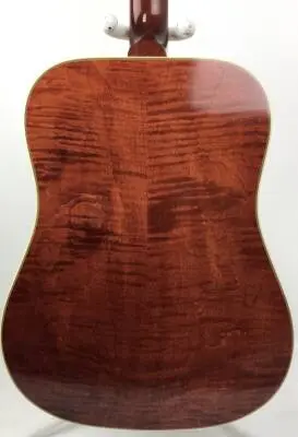 Epiphone - Acoustic/Electric Dove Reissue 2