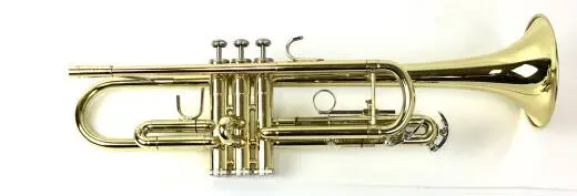 Bach - TR300H2
