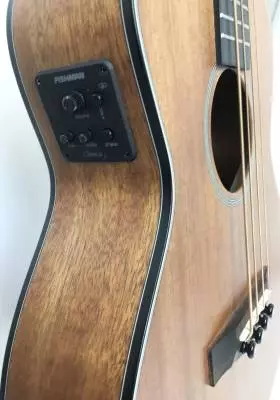 Denver - Mini Acoustic Bass 2