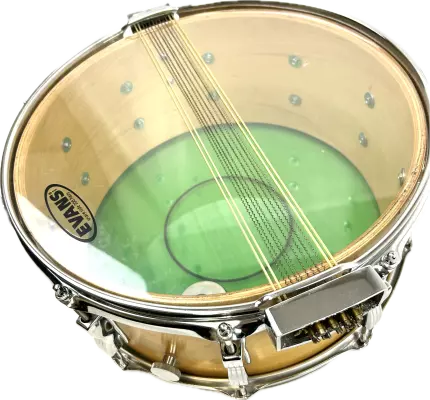 Ludwig 1976 14