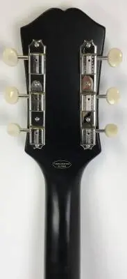 Epiphone - Acoustic/electric cutaway 2