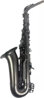 Cannonball Stone Alto Saxophone Iced Black (Raven) 2