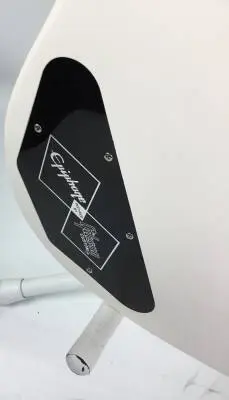 Epiphone - 1961 Les Paul SG Standard Electric Guitar with Case 2