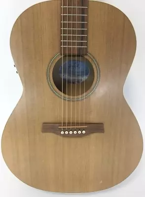 Seagull Coastline S6 Folk 2