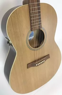Seagull Coastline S6 Folk 2