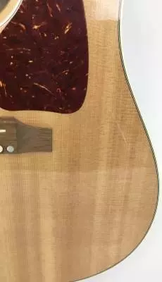 Gibson - AC4S00WANH 2