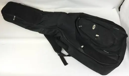Epiphone - Acoustic Bass 2