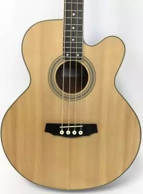Denver - Acoustic Bass w/ pickup 2