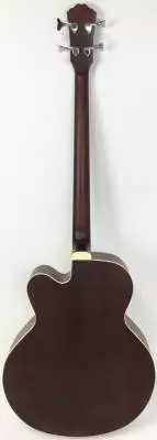 Denver - Acoustic Bass w/ pickup 2