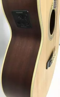 Denver - Acoustic Bass w/ pickup 2
