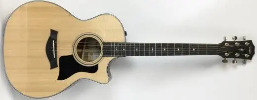 Taylor Guitars - Acoustic/electric