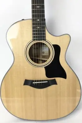 Taylor Guitars - Acoustic/electric 2