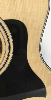 Taylor Guitars - Acoustic/electric 2