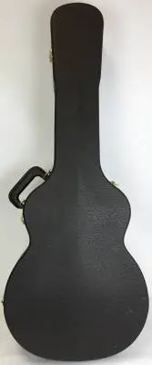Taylor Guitars - Acoustic/electric 2