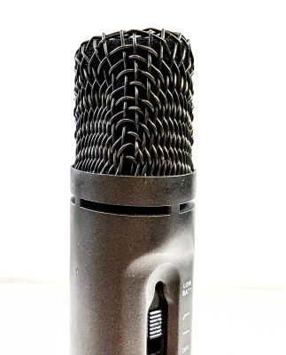 Apex Condenser Microphone APEX591 2