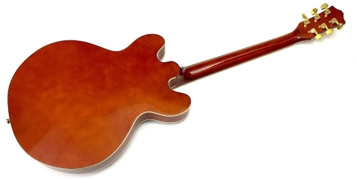 Grandeur - Semi Hollow 2