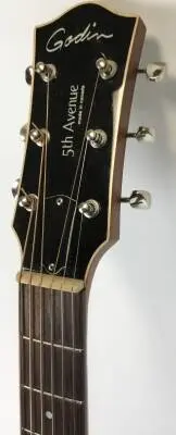 Godin Archtop Acoustic 2