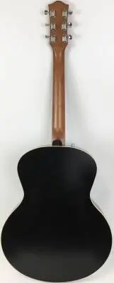 Godin Archtop Acoustic 2
