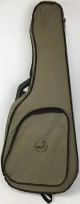 Godin Archtop Acoustic 2