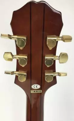 Epiphone 1995 Sheraton II 2