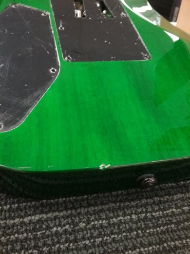 KRAMER STRIKER FIGURED HSS-WILD IVY 8