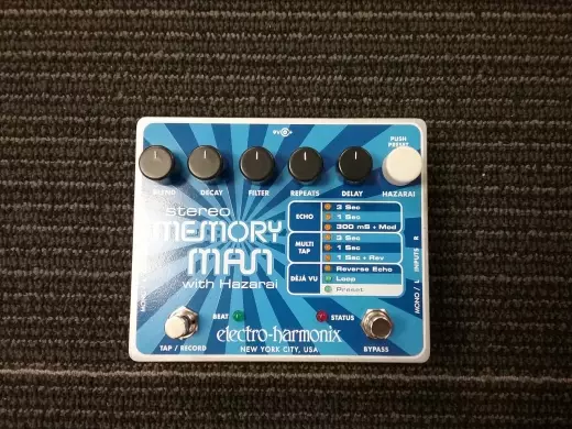 Electro-Harmonix - MEMORYMAN/HAZAR