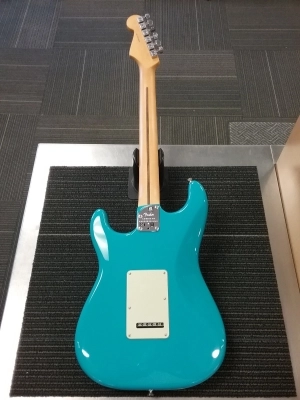 Fender - 011-3910-719 6