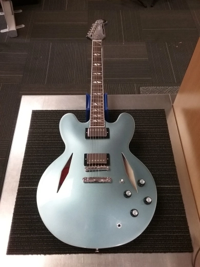 Store Special Product - EPI DAVE GROHL DG-335 W/CASE